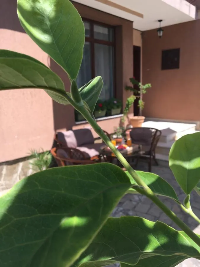 Guest house Стаи За Гости Димитрови Burgas